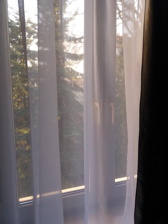 Lawendowy Hostel Kraków Eksteriør billede