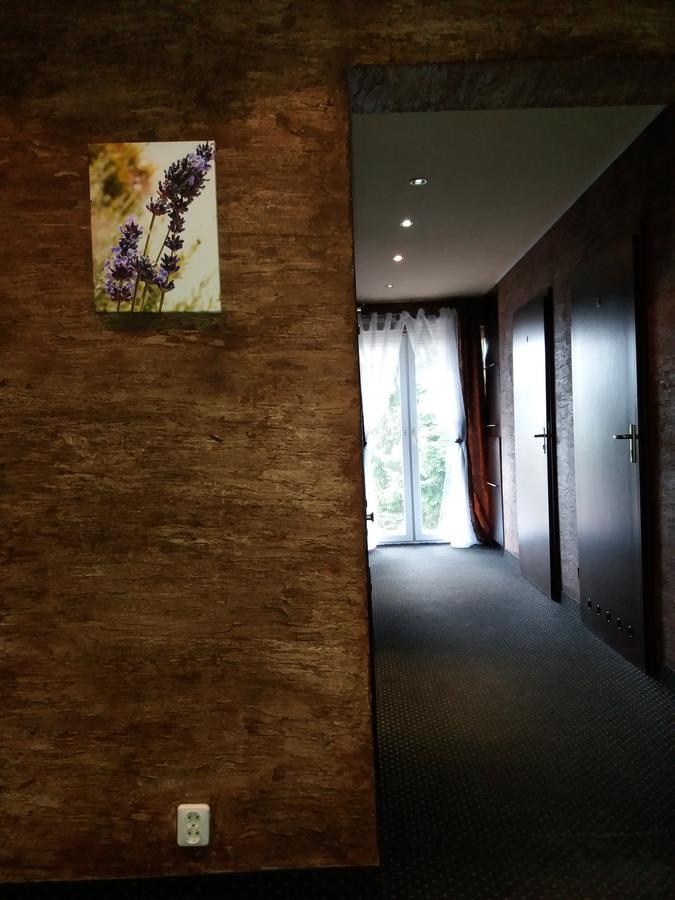 Lawendowy Hostel Kraków Eksteriør billede